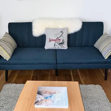 - Amazing Views, Centrally Located By Train Station Apartment Wengen