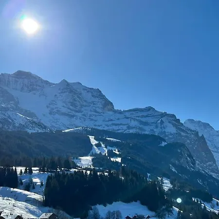 - Amazing Views, Centrally Located By Train Station Wengen