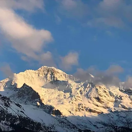 Daire In - Amazing Views, Centrally Located By Train Station Wengen